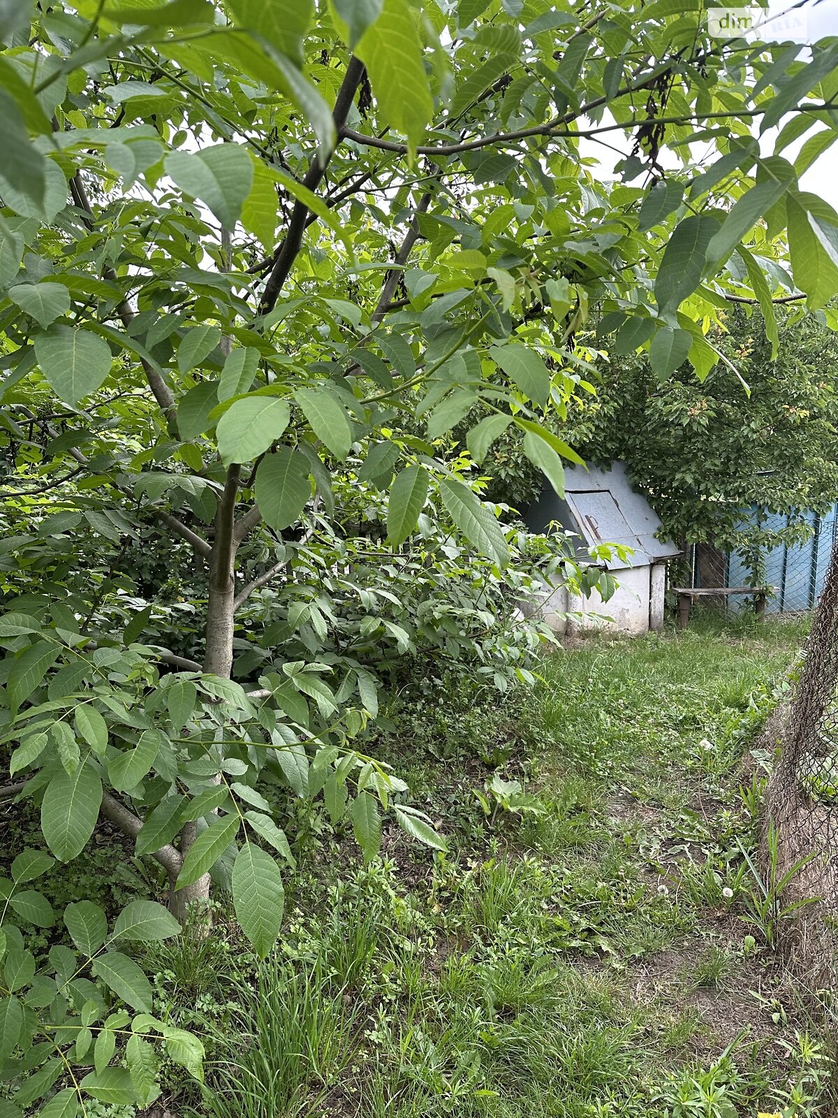 одноэтажный дом с гаражом, 56 кв. м, кирпич. Продажа в Опошне фото 1 одноэтажный дом с гаражом, 56 кв. м, кирпич. Продажа в Опошне фото 1