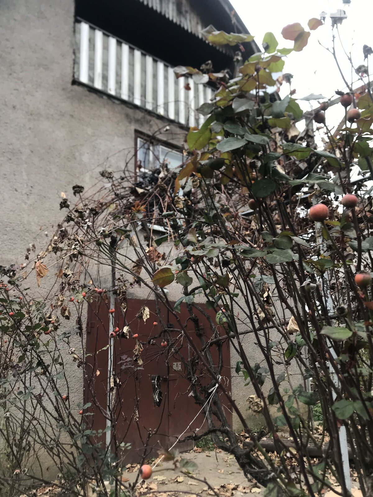 двоповерховий будинок з гаражем, 106 кв. м, цегла. Продаж у Оріховиці фото 1 двоповерховий будинок з гаражем, 106 кв. м, цегла. Продаж у Оріховиці фото 1
