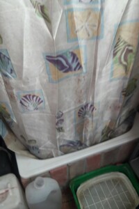 двоповерховий будинок, 146 кв. м, цегла. Продаж у Оріховиці фото 2