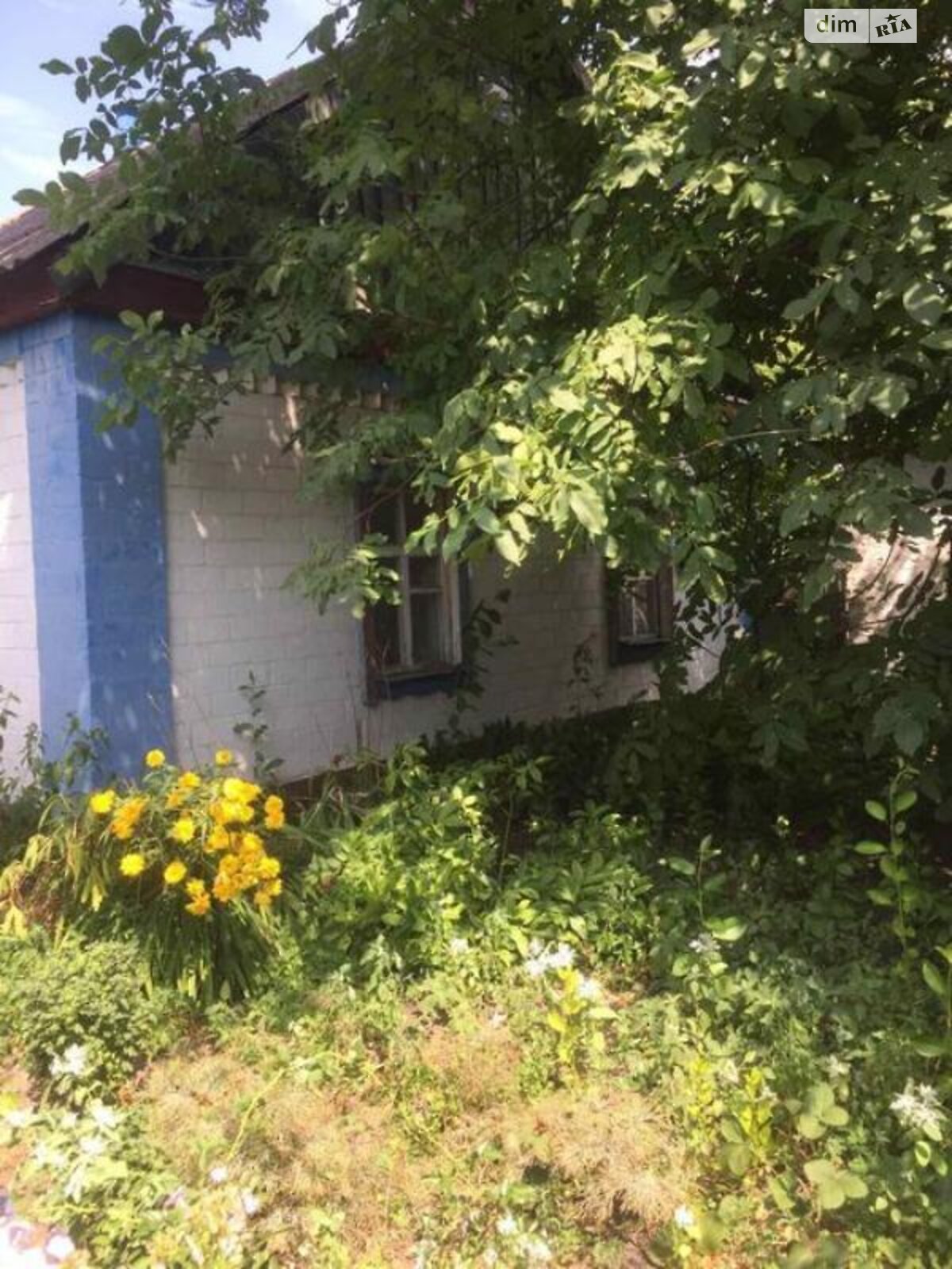 одноповерховий будинок з гаражем, 70 кв. м, цегла. Продаж у Оріхівці фото 1