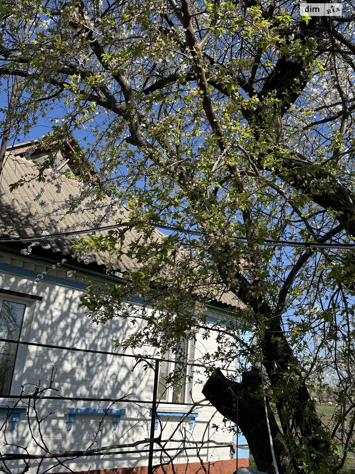 одноповерховий будинок, 69 кв. м, цегла. Продаж у Оріхівці фото 1 одноповерховий будинок, 69 кв. м, цегла. Продаж у Оріхівці фото 1