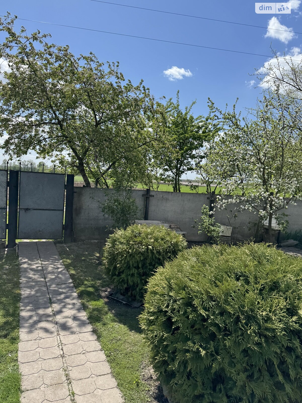 одноповерховий будинок, 69 кв. м, цегла. Продаж у Оріхівці фото 1 одноповерховий будинок, 69 кв. м, цегла. Продаж у Оріхівці фото 1
