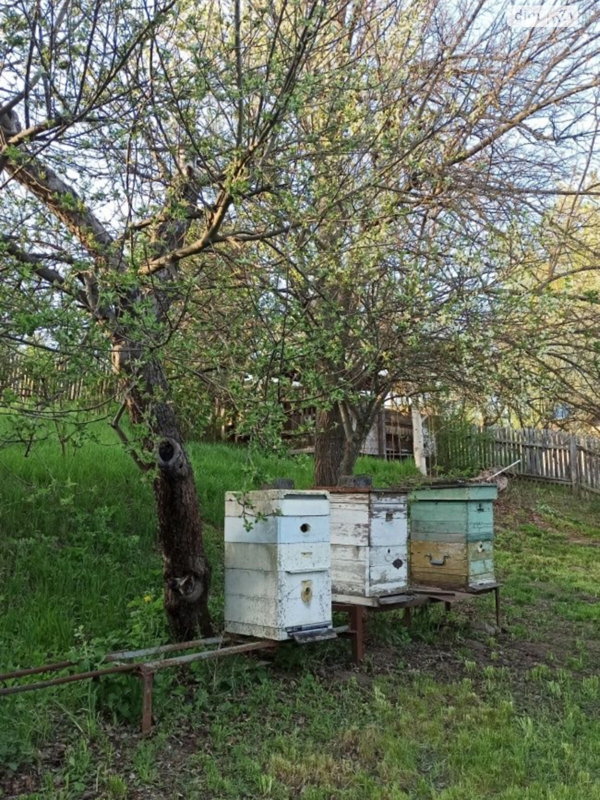 одноповерховий будинок з опаленням, 45 кв. м, цегла. Продаж у Орлівці фото 1 одноповерховий будинок з опаленням, 45 кв. м, цегла. Продаж у Орлівці фото 1