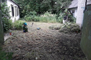 одноповерховий будинок, 51 кв. м, цегла. Продаж у Орлівщині фото 2 одноповерховий будинок, 51 кв. м, цегла. Продаж у Орлівщині фото 2