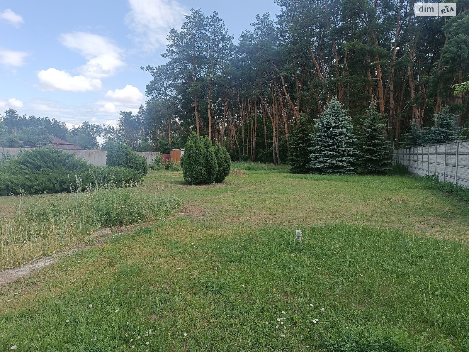 двухэтажный дом с верандой, 200 кв. м, кирпич. Продажа в Орловщине фото 1 двухэтажный дом с верандой, 200 кв. м, кирпич. Продажа в Орловщине фото 1