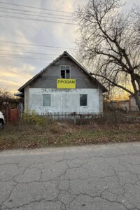 одноповерховий будинок, 49.1 кв. м, цегла. Продаж у Орлівщині фото 2