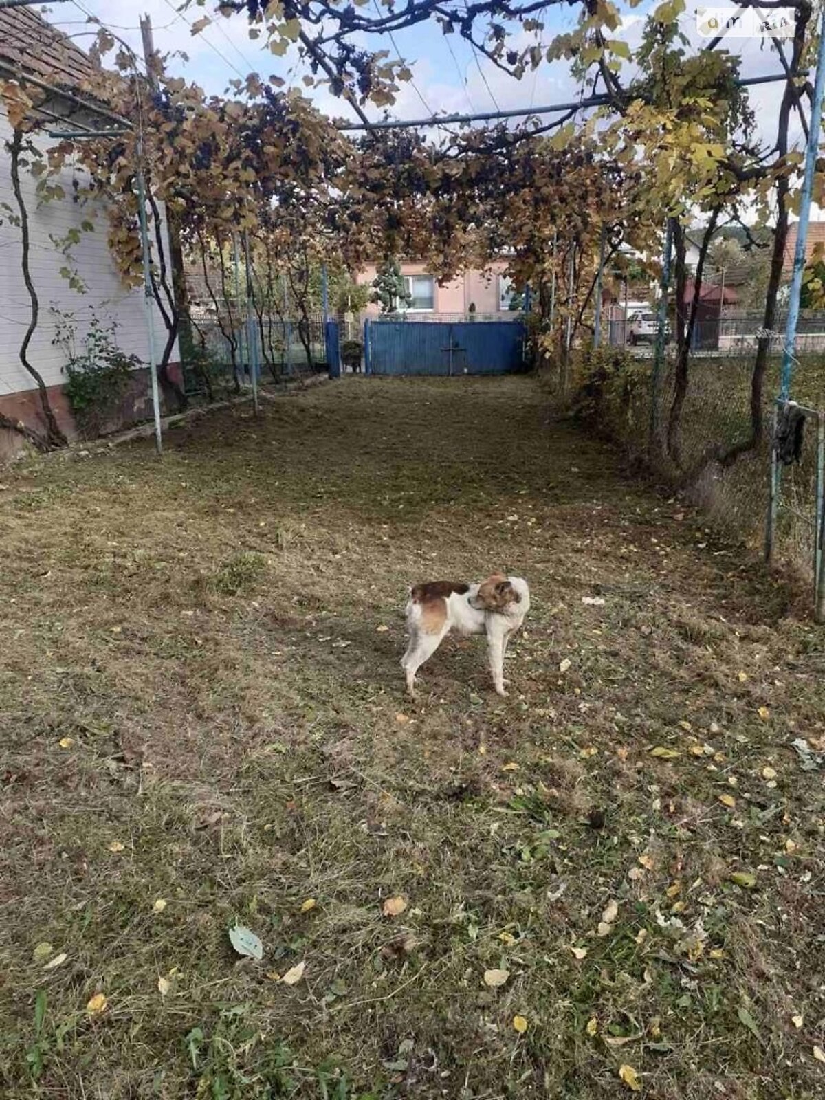 одноэтажный дом с отоплением, 71 кв. м, кирпич саманный. Продажа в Осии фото 1 одноэтажный дом с отоплением, 71 кв. м, кирпич саманный. Продажа в Осии фото 1