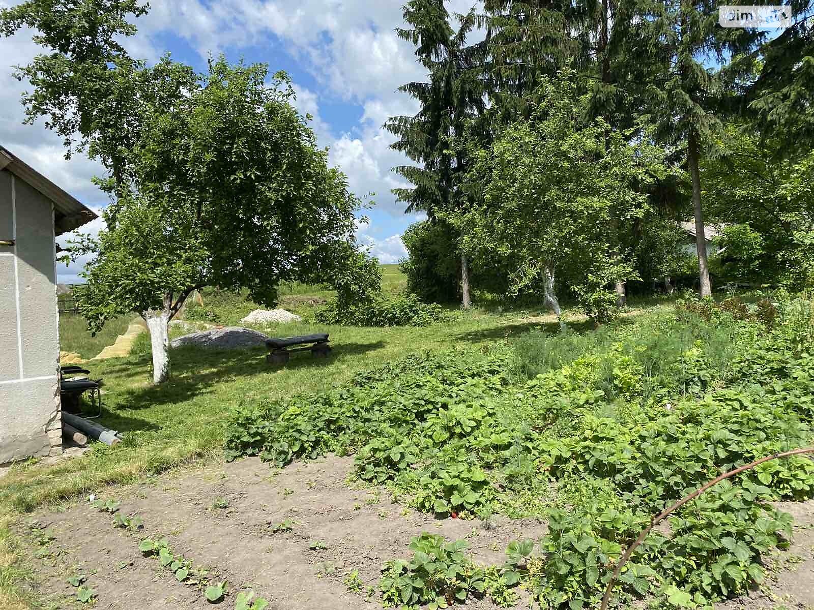 одноповерховий будинок з опаленням, 66 кв. м, цегла. Продаж у Осташівцях фото 1