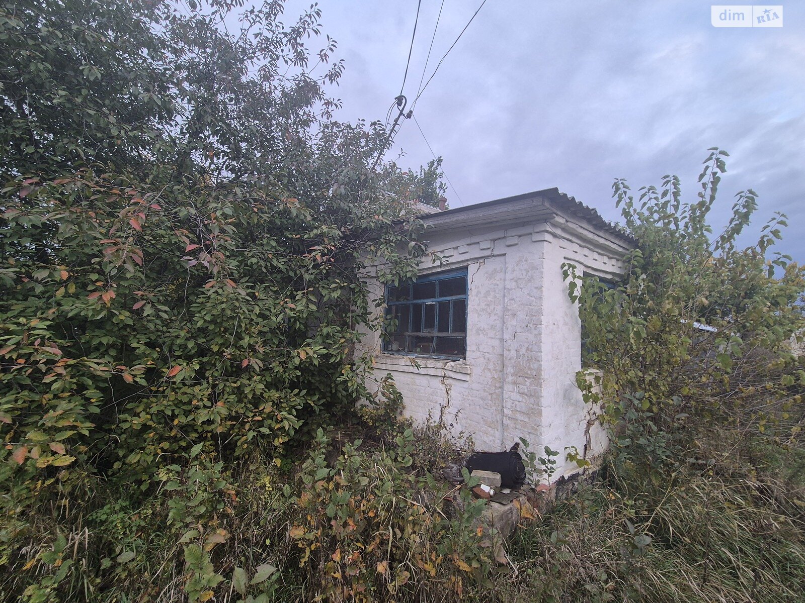 одноповерховий будинок, 55.7 кв. м, цегла. Продаж у Острийках фото 1