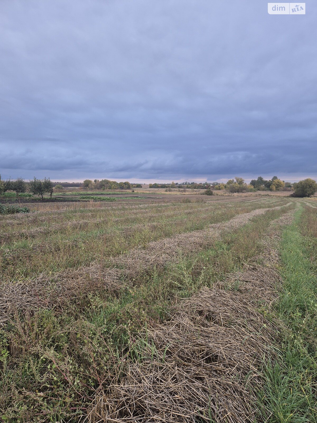 одноповерховий будинок, 55.7 кв. м, цегла. Продаж у Острийках фото 1