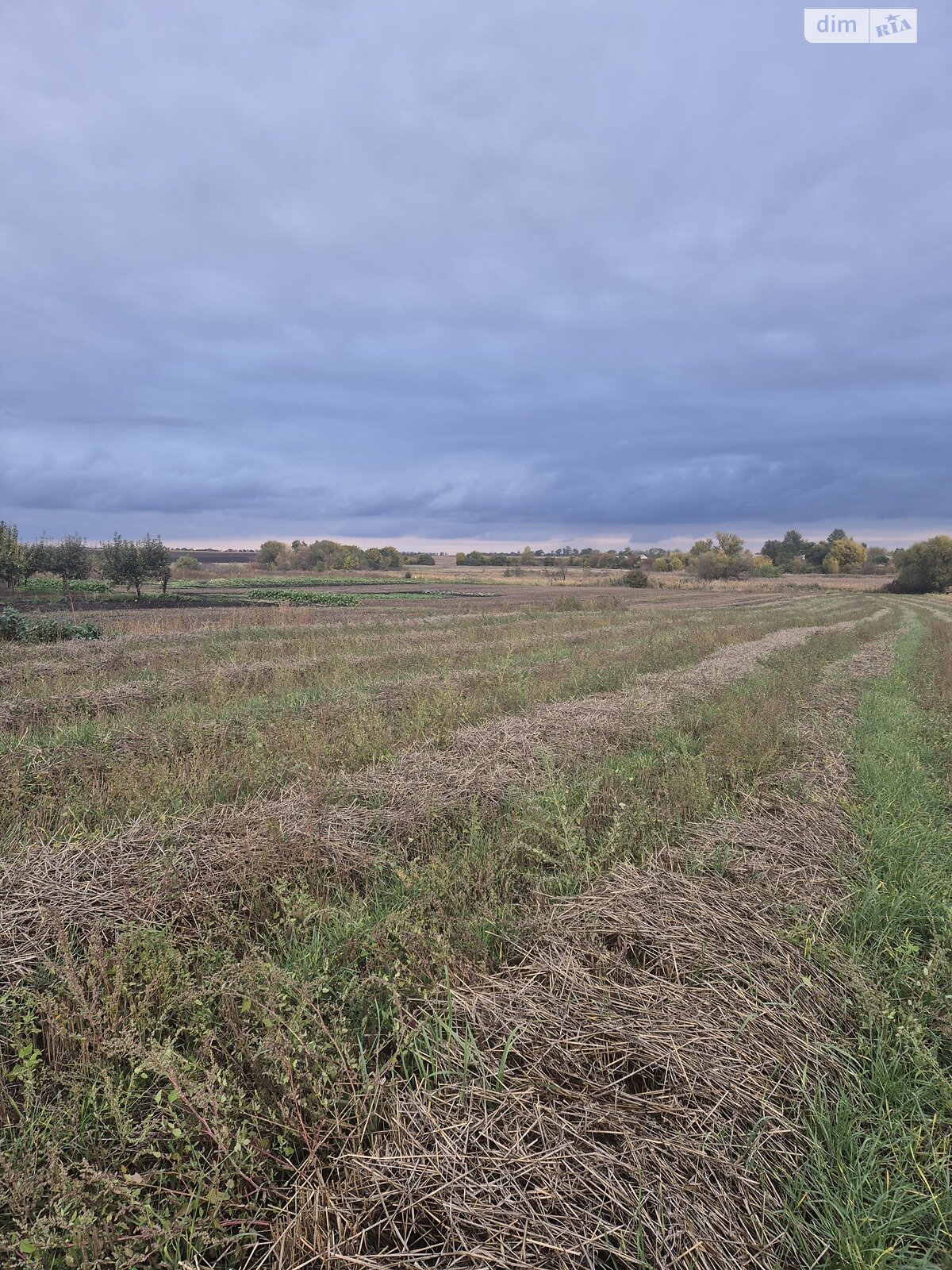 одноповерховий будинок, 55.7 кв. м, цегла. Продаж у Острийках фото 1