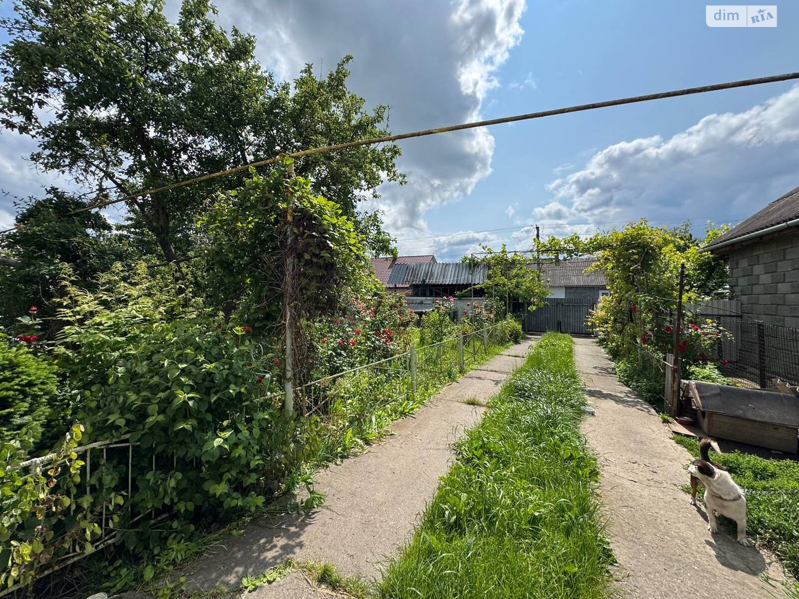 двухэтажный дом с гаражом, 151.3 кв. м, кирпич. Продажа в Остроге фото 1 двухэтажный дом с гаражом, 151.3 кв. м, кирпич. Продажа в Остроге фото 1