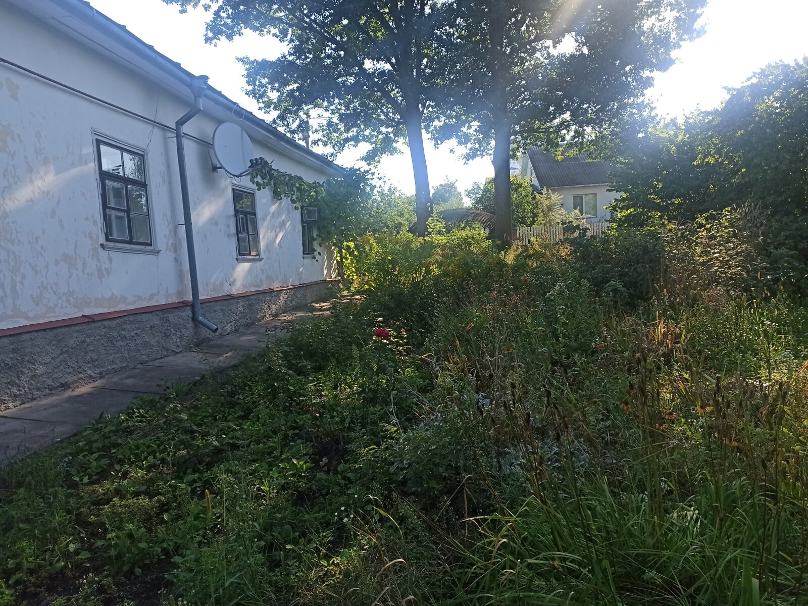 одноповерховий будинок з верандою, 120 кв. м, дерево та цегла. Продаж в Острозі, район Острог фото 1 одноповерховий будинок з верандою, 120 кв. м, дерево та цегла. Продаж в Острозі, район Острог фото 1
