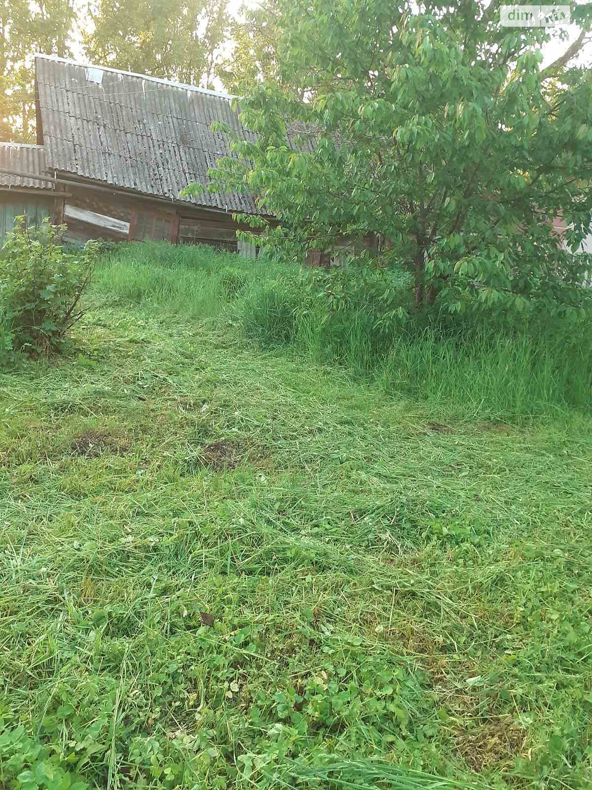 одноповерховий будинок з верандою, 120 кв. м, дерево та цегла. Продаж в Острозі, район Острог фото 1 одноповерховий будинок з верандою, 120 кв. м, дерево та цегла. Продаж в Острозі, район Острог фото 1