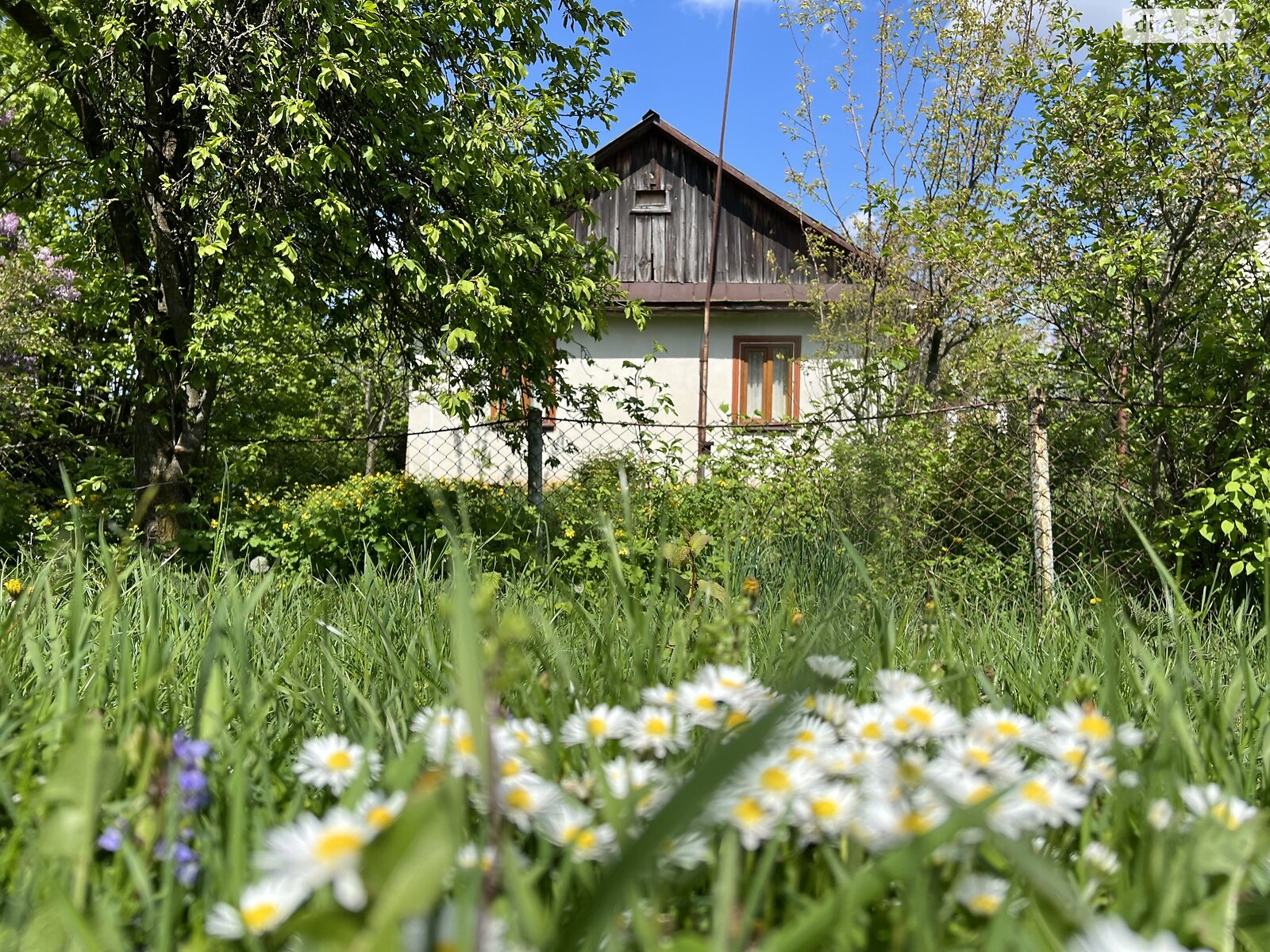 одноповерховий будинок з опаленням, 58.1 кв. м, дерево та цегла. Продаж у Острові фото 1 одноповерховий будинок з опаленням, 58.1 кв. м, дерево та цегла. Продаж у Острові фото 1