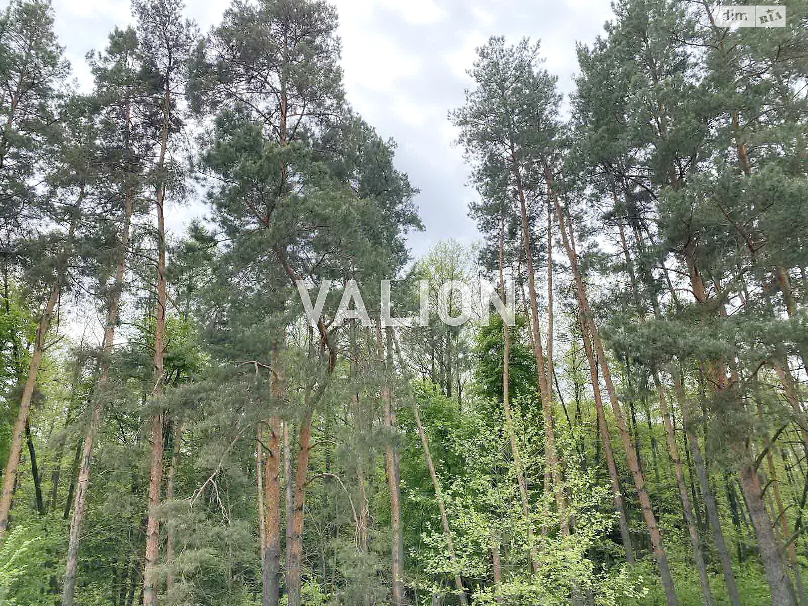 двухэтажный дом с гаражом, 255 кв. м, пеноблок. Продажа в Осыковом фото 1 двухэтажный дом с гаражом, 255 кв. м, пеноблок. Продажа в Осыковом фото 1