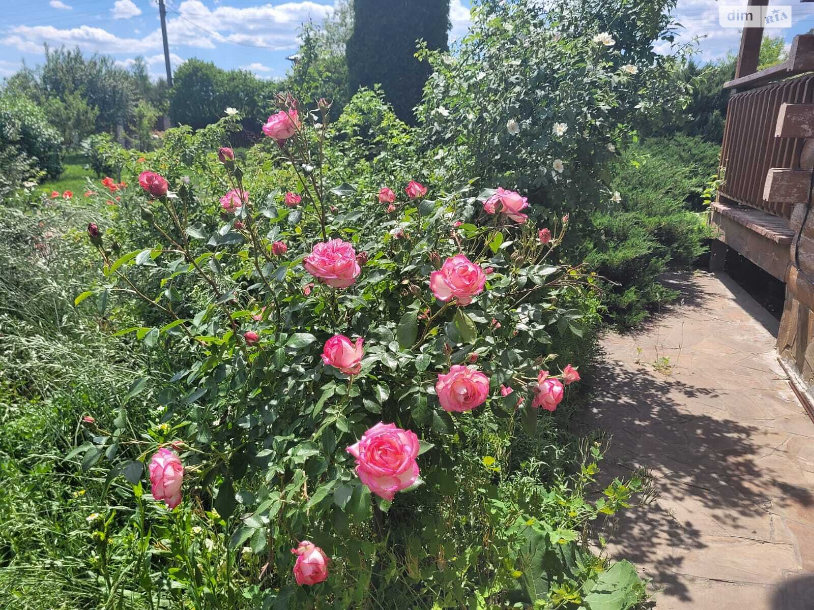 двухэтажный дом с гаражом, 320 кв. м, кирпич. Продажа в Осыковом фото 1