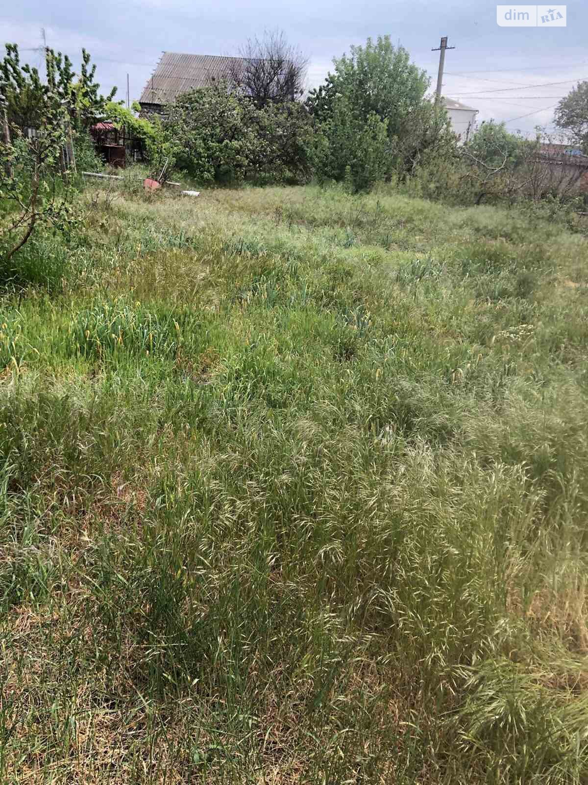 одноповерховий будинок з опаленням, 45.3 кв. м, цегла. Продаж в Овідіополі, район Овідіополь фото 1 одноповерховий будинок з опаленням, 45.3 кв. м, цегла. Продаж в Овідіополі, район Овідіополь фото 1