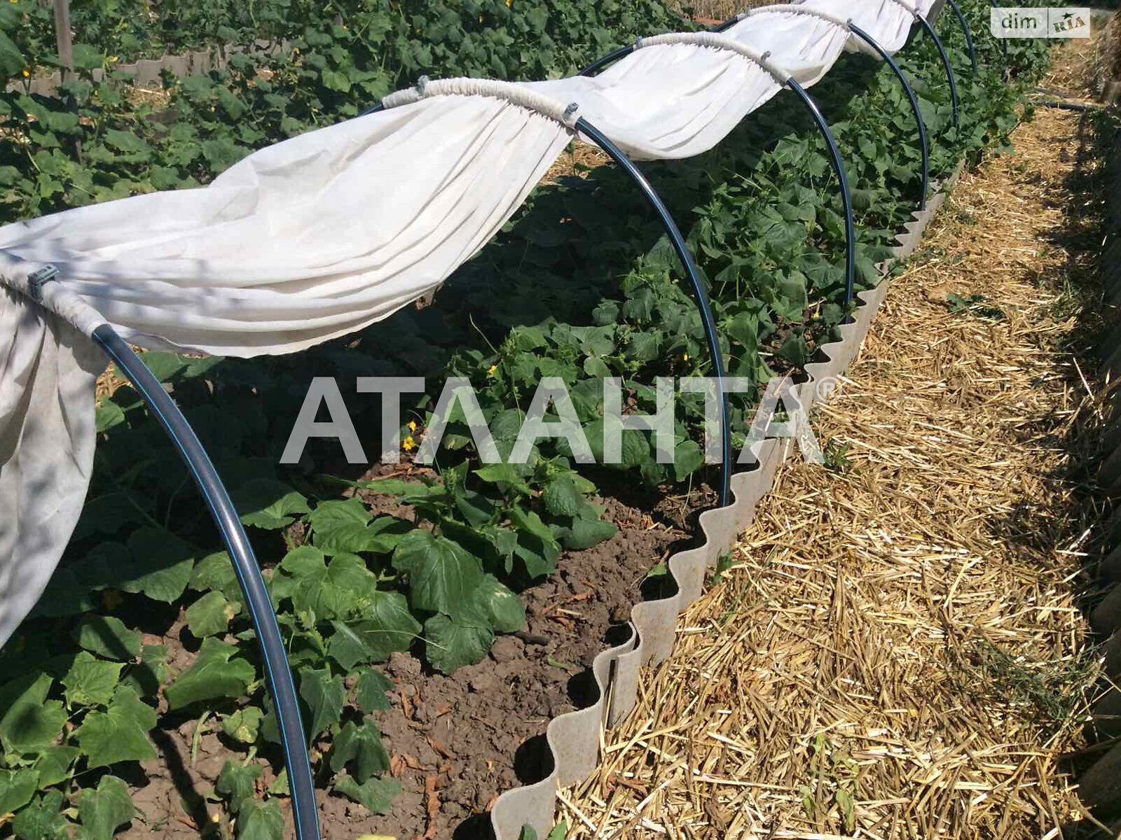 двоповерховий будинок бесідка, 307.3 кв. м, ракушечник (ракушняк). Продаж у Санжійці фото 1 двоповерховий будинок бесідка, 307.3 кв. м, ракушечник (ракушняк). Продаж у Санжійці фото 1