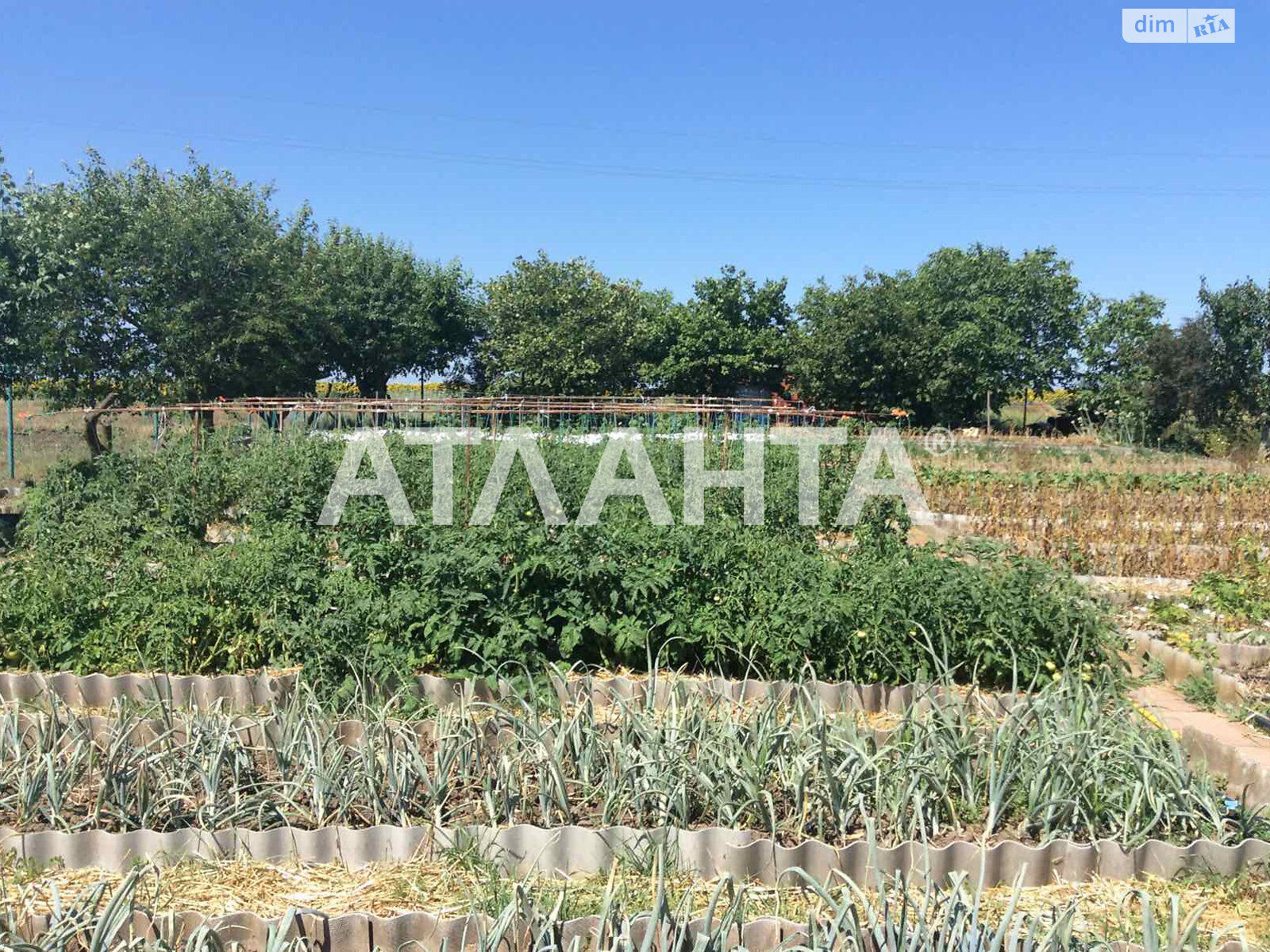 двоповерховий будинок бесідка, 307.3 кв. м, ракушечник (ракушняк). Продаж у Санжійці фото 1 двоповерховий будинок бесідка, 307.3 кв. м, ракушечник (ракушняк). Продаж у Санжійці фото 1