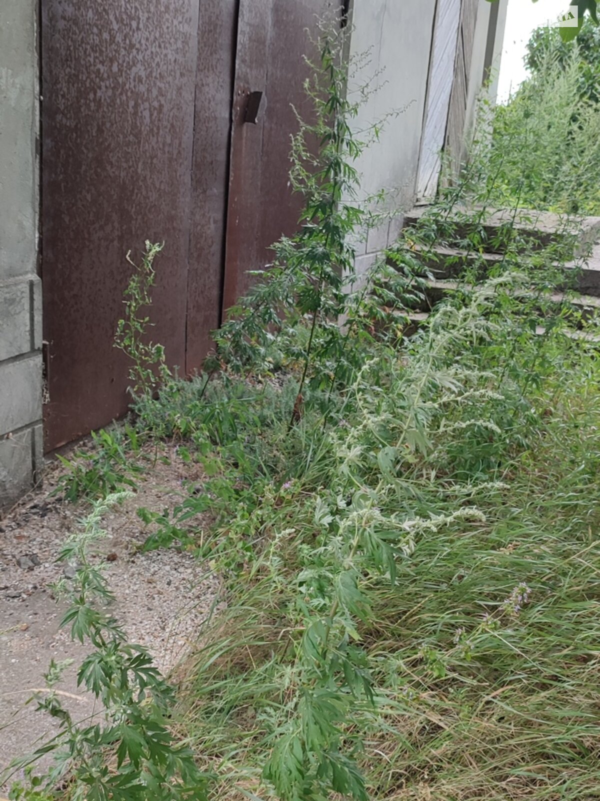 двоповерховий будинок, 230 кв. м, цегла. Продаж у Овідіополі фото 1 двоповерховий будинок, 230 кв. м, цегла. Продаж у Овідіополі фото 1