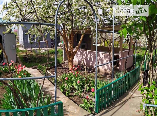 одноповерховий будинок з садом, 53 кв. м, дерево та цегла. Продаж в Великодолинському (Одеська обл.) фото 1 одноповерховий будинок з садом, 53 кв. м, дерево та цегла. Продаж в Великодолинському (Одеська обл.) фото 1