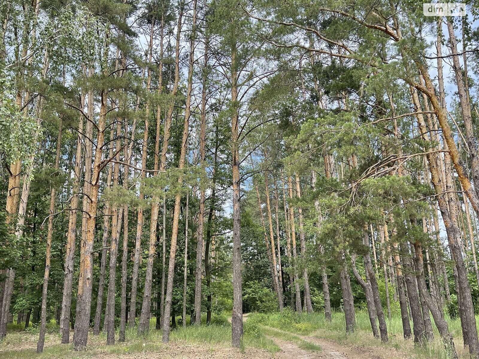двоповерховий будинок, 48.5 кв. м, цегла. Продаж у Озерах фото 1 двоповерховий будинок, 48.5 кв. м, цегла. Продаж у Озерах фото 1