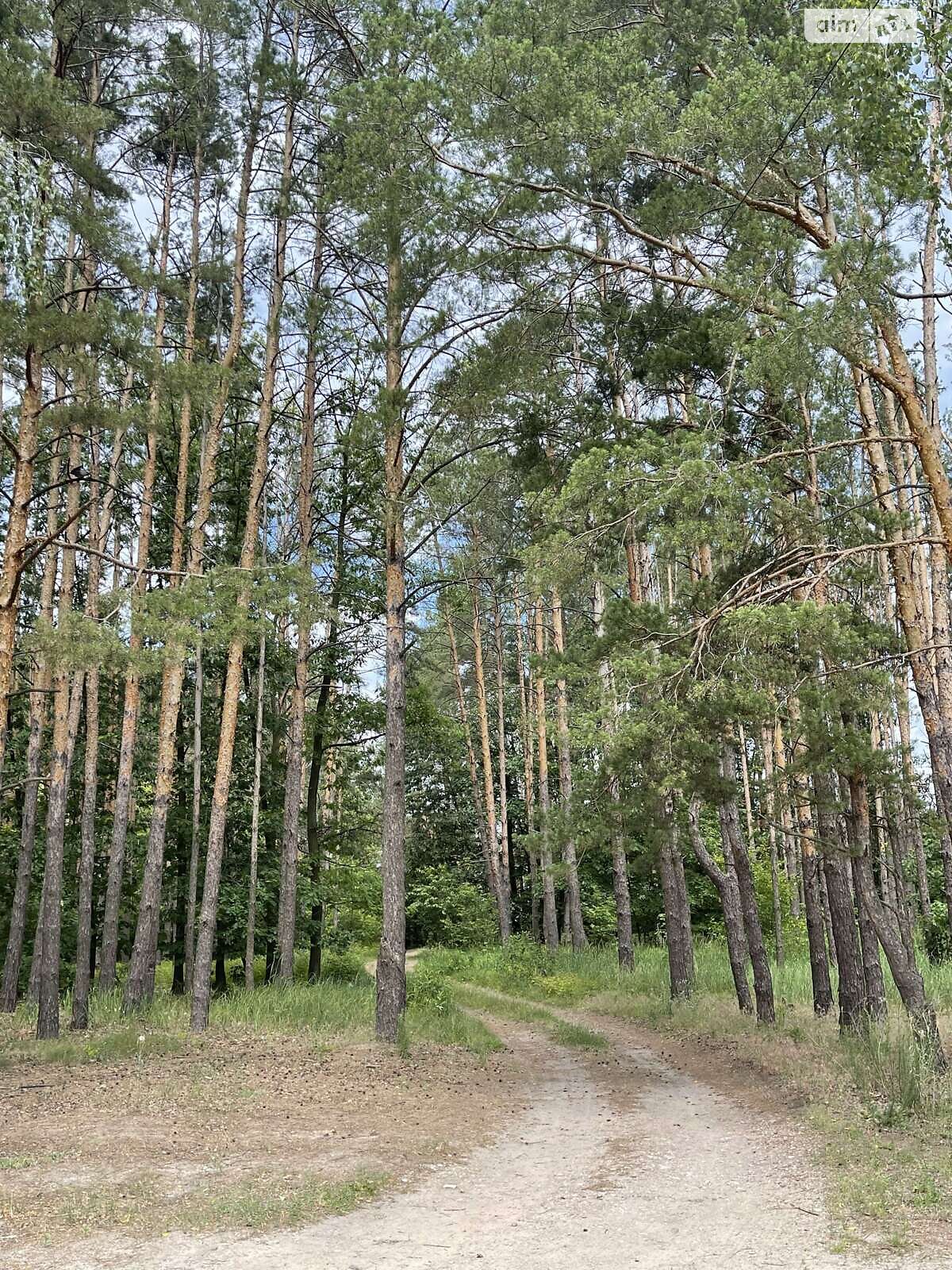 двоповерховий будинок, 48.5 кв. м, цегла. Продаж у Озерах фото 1 двоповерховий будинок, 48.5 кв. м, цегла. Продаж у Озерах фото 1