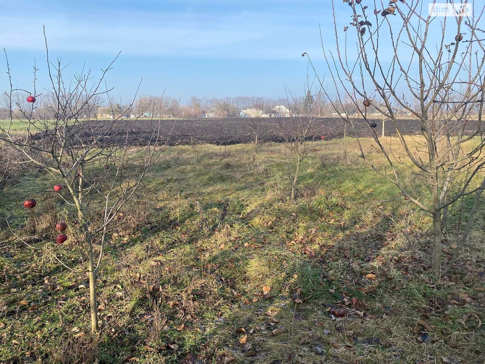 одноповерховий будинок з меблями, 30 кв. м, цегла. Продаж у Озерній фото 1 одноповерховий будинок з меблями, 30 кв. м, цегла. Продаж у Озерній фото 1