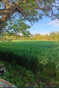 одноповерховий будинок, 63 кв. м, дерево и кирпич. Продаж у Озерній фото 2 одноповерховий будинок, 63 кв. м, дерево и кирпич. Продаж у Озерній фото 2