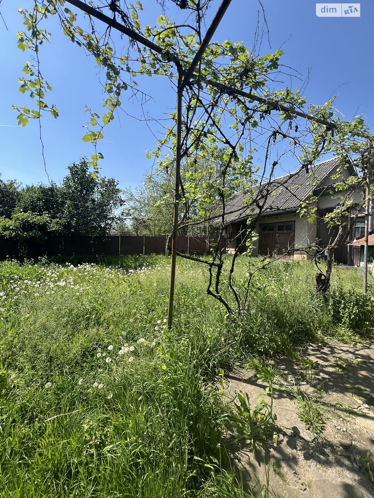одноповерховий будинок з гаражем, 131 кв. м, цегла. Продаж у Паладі-Комарівці фото 1 одноповерховий будинок з гаражем, 131 кв. м, цегла. Продаж у Паладі-Комарівці фото 1