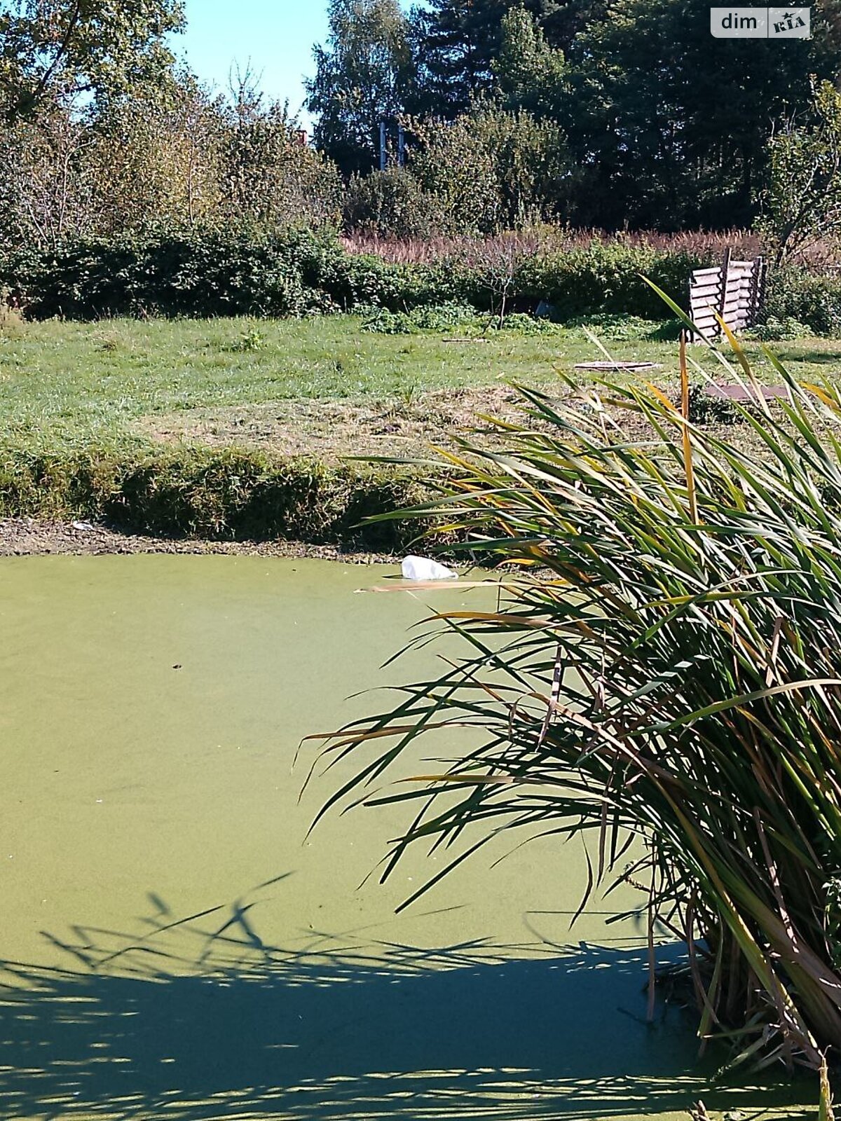 одноповерховий будинок, 81 кв. м, піноблок. Продаж у Паланках фото 1 одноповерховий будинок, 81 кв. м, піноблок. Продаж у Паланках фото 1