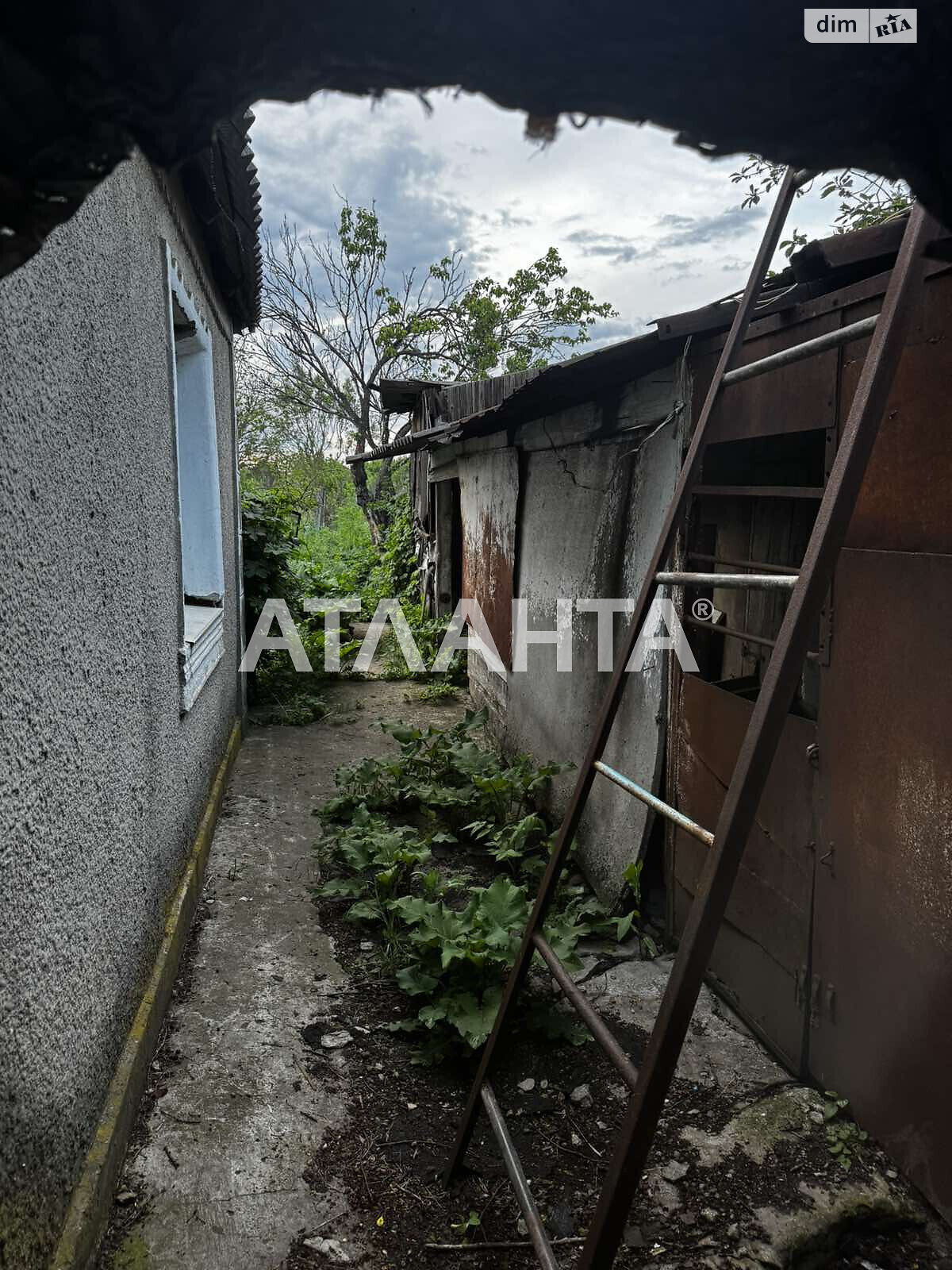 одноповерховий будинок бесідка, 56.5 кв. м, ракушечник (ракушняк). Продаж у Паліївці фото 1 одноповерховий будинок бесідка, 56.5 кв. м, ракушечник (ракушняк). Продаж у Паліївці фото 1