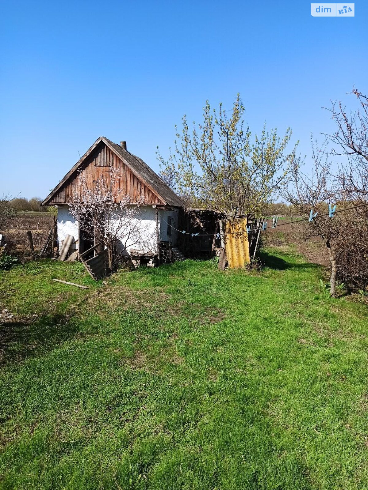 одноэтажный дом, 60 кв. м, кирпич. Продажа в Панивановке фото 1 одноэтажный дом, 60 кв. м, кирпич. Продажа в Панивановке фото 1