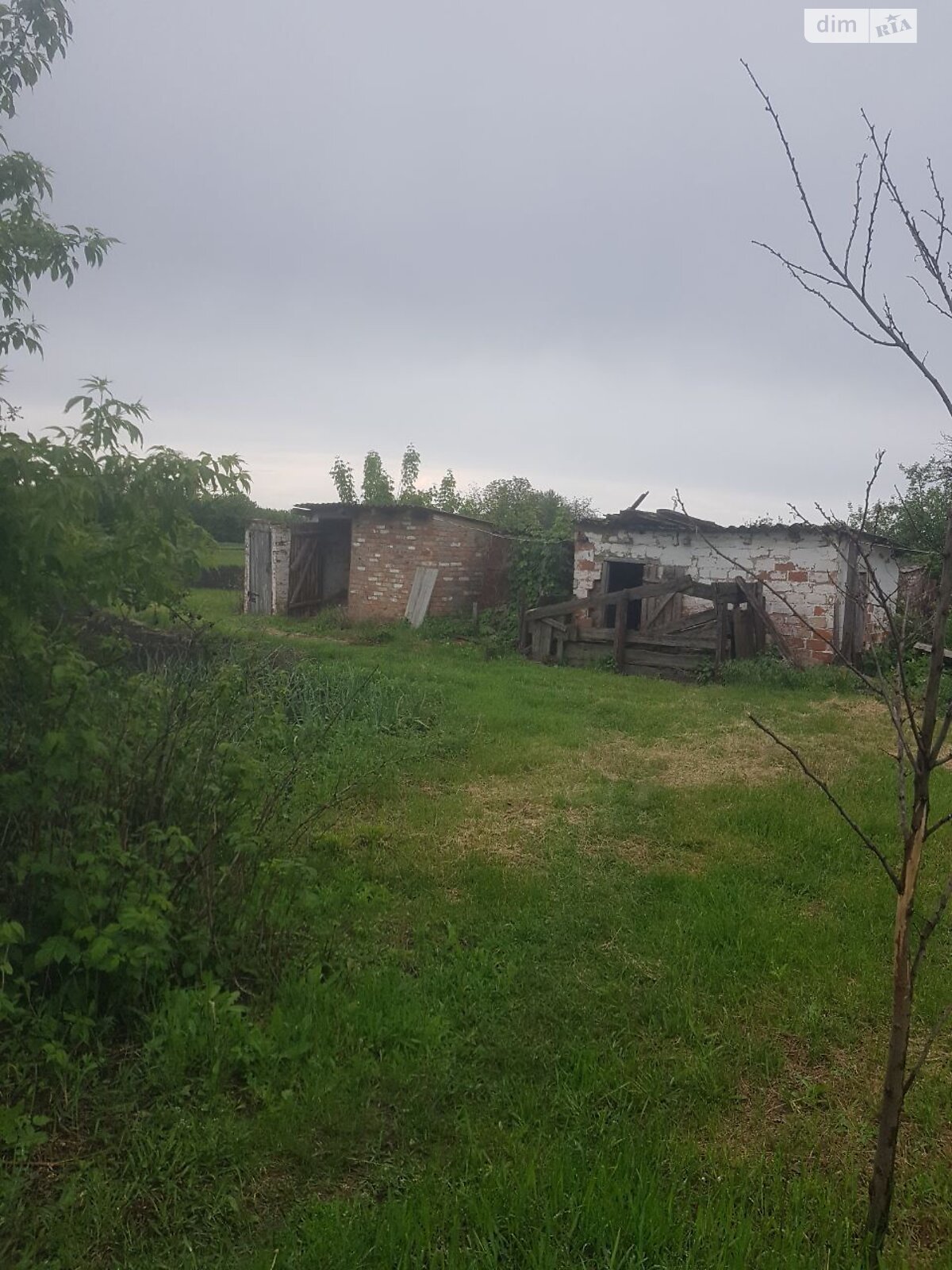 одноэтажный дом, 60 кв. м, кирпич. Продажа в Панивановке фото 1 одноэтажный дом, 60 кв. м, кирпич. Продажа в Панивановке фото 1