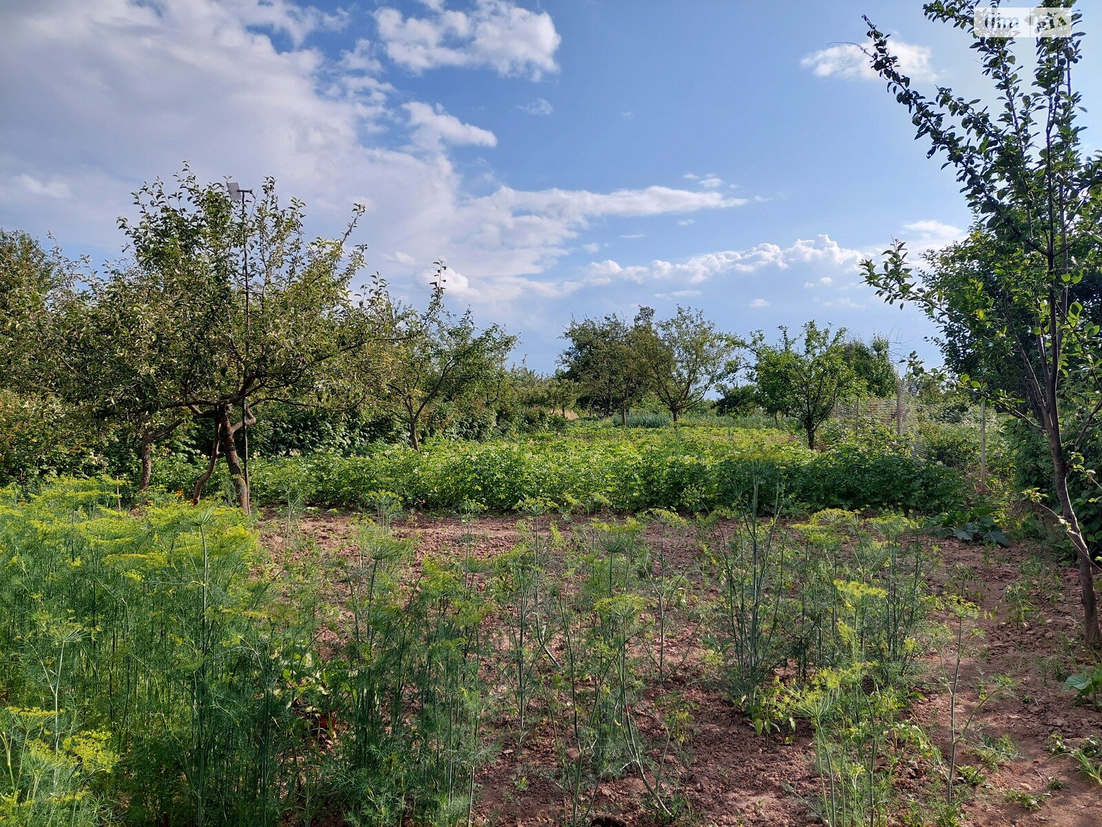 одноповерховий будинок, 93.8 кв. м, цегла. Продаж у Парпурівцях фото 1 одноповерховий будинок, 93.8 кв. м, цегла. Продаж у Парпурівцях фото 1