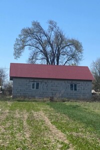 одноповерховий будинок, 106.5 кв. м, газобетон. Продаж у Пашківці фото 2