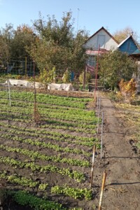 одноэтажный дом с гаражом, 60 кв. м, кирпич. Продажа в Павлограде район Павлоград фото 2 одноэтажный дом с гаражом, 60 кв. м, кирпич. Продажа в Павлограде район Павлоград фото 2