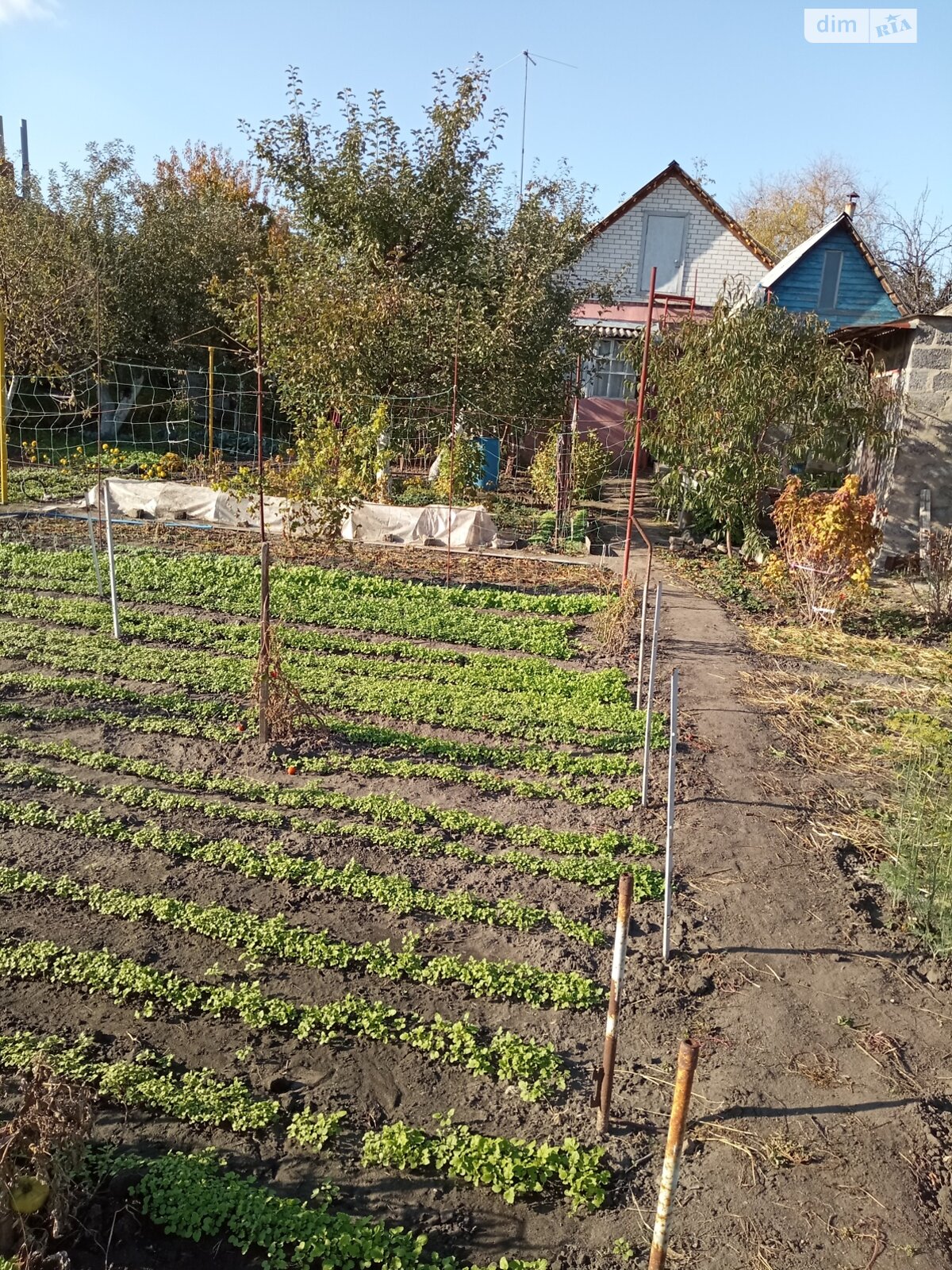 одноэтажный дом с гаражом, 60 кв. м, кирпич. Продажа в Павлограде район Павлоград фото 1 одноэтажный дом с гаражом, 60 кв. м, кирпич. Продажа в Павлограде район Павлоград фото 1