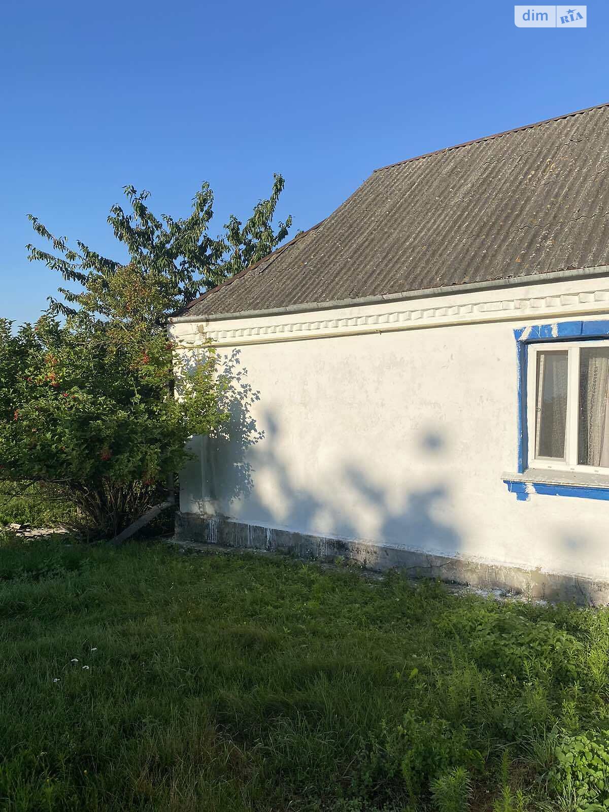 одноповерховий будинок, 58.4 кв. м, цегла. Продаж у Паволочі фото 1