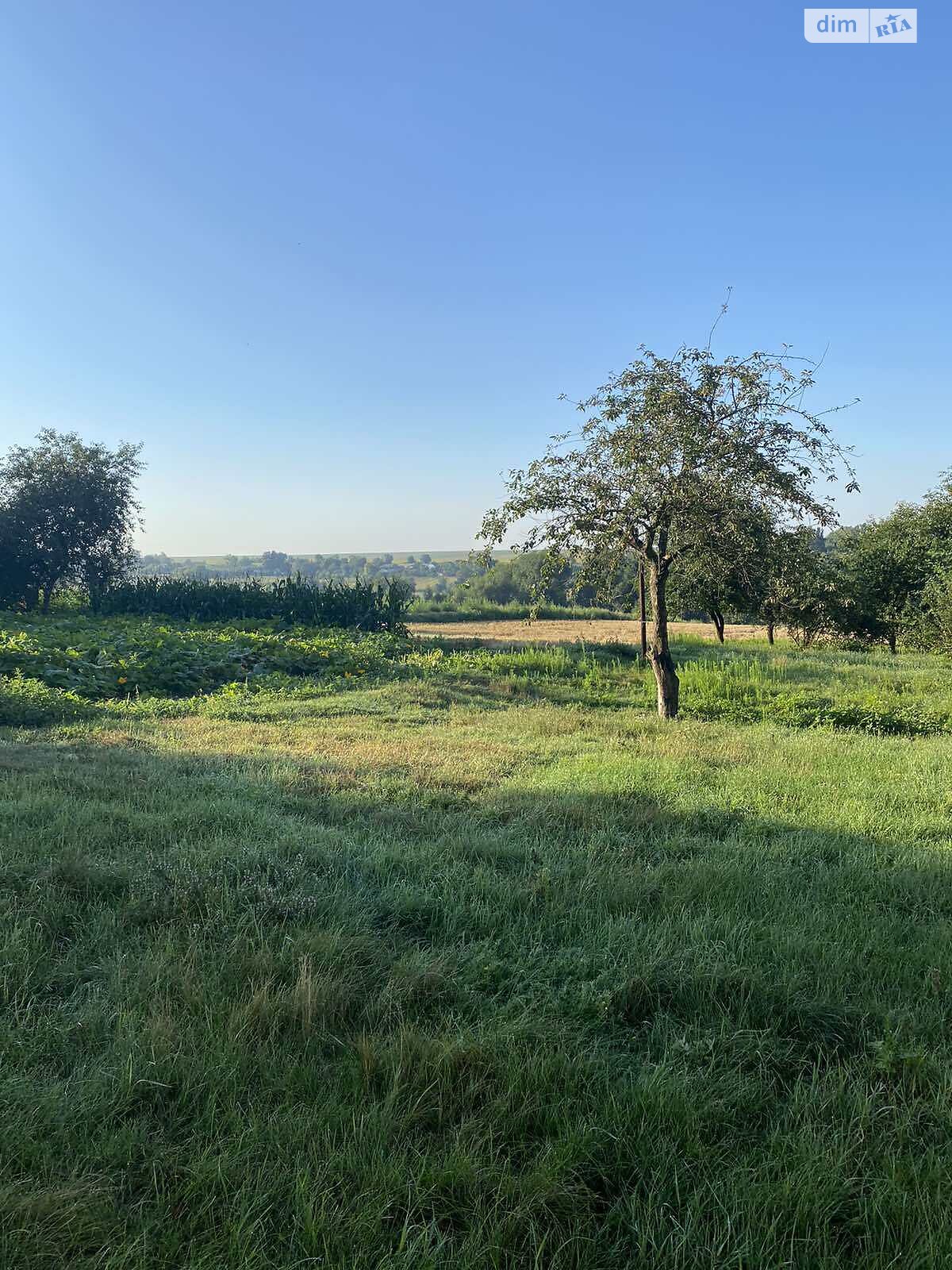 одноповерховий будинок, 58.4 кв. м, цегла. Продаж у Паволочі фото 1