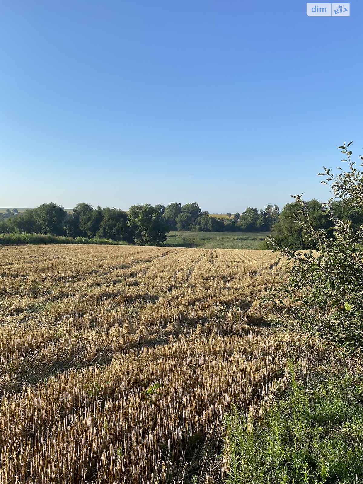 одноповерховий будинок, 58.4 кв. м, цегла. Продаж у Паволочі фото 1