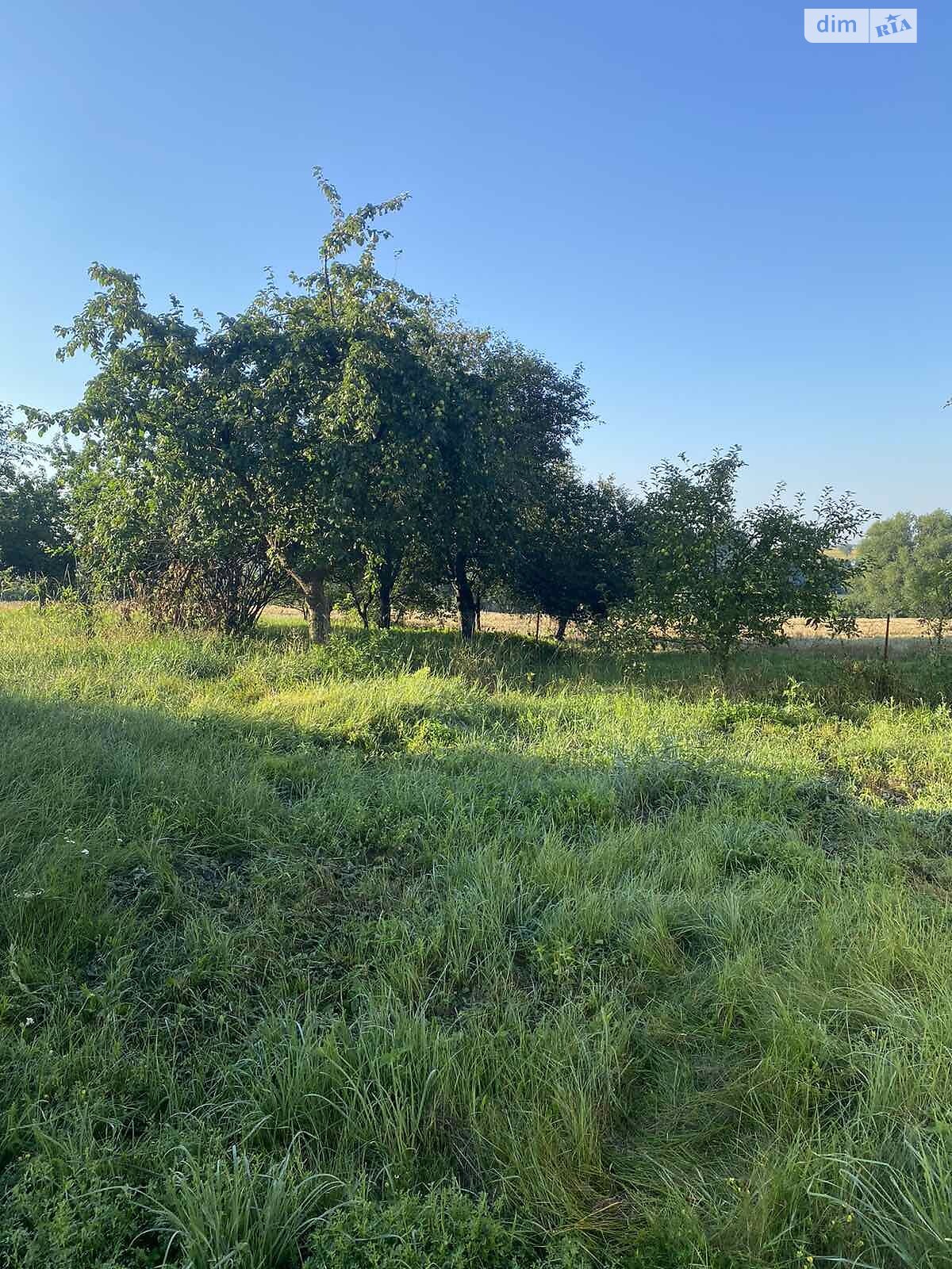 одноповерховий будинок, 58.4 кв. м, цегла. Продаж у Паволочі фото 1