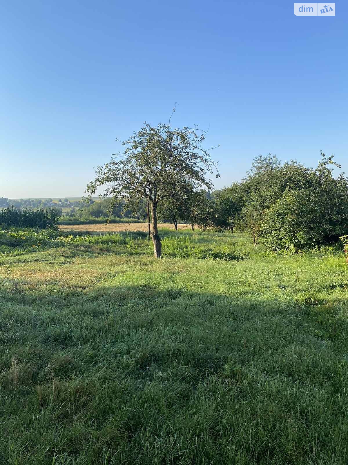 одноповерховий будинок, 58.4 кв. м, цегла. Продаж у Паволочі фото 1