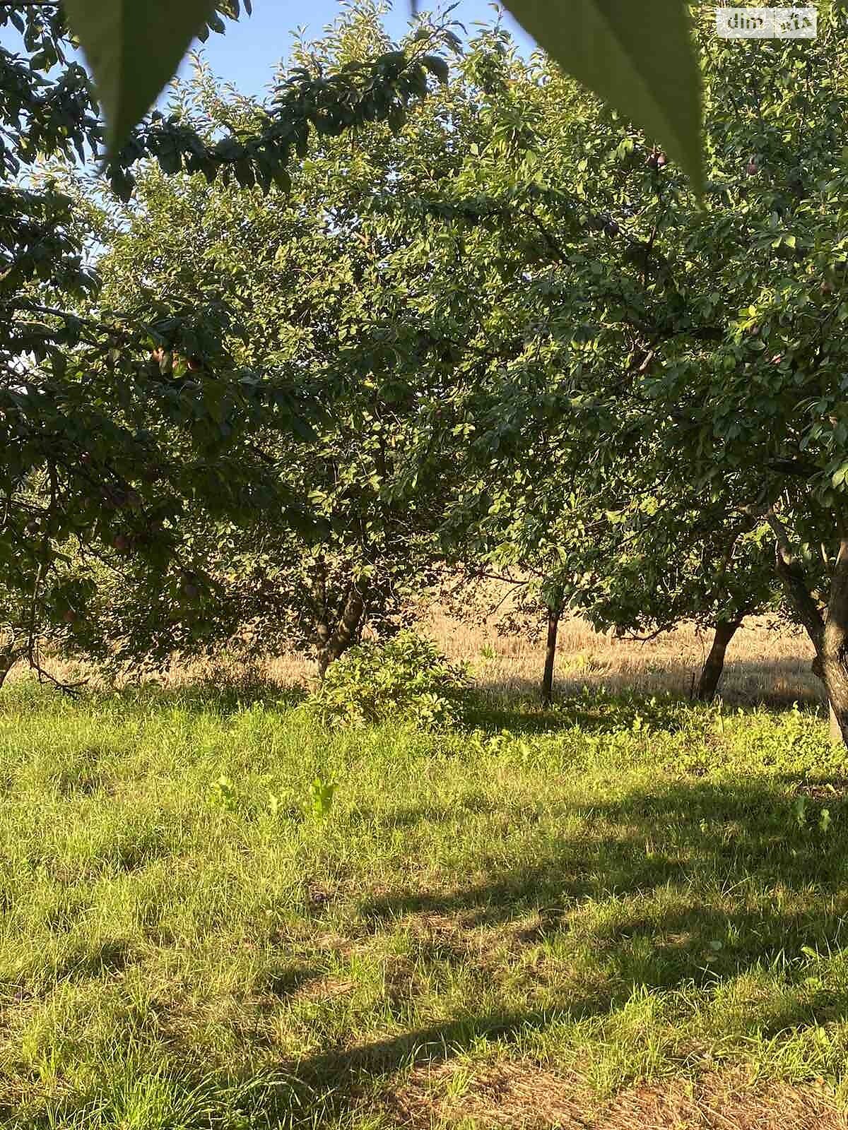 одноповерховий будинок, 58.4 кв. м, цегла. Продаж у Паволочі фото 1