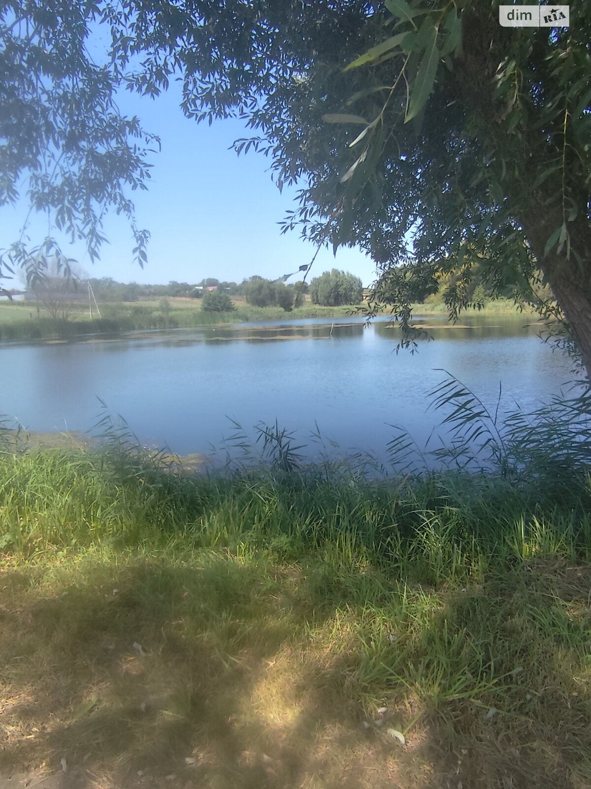 одноповерховий будинок з верандою, 100 кв. м, дерево та цегла. Продаж у Паволочі фото 1