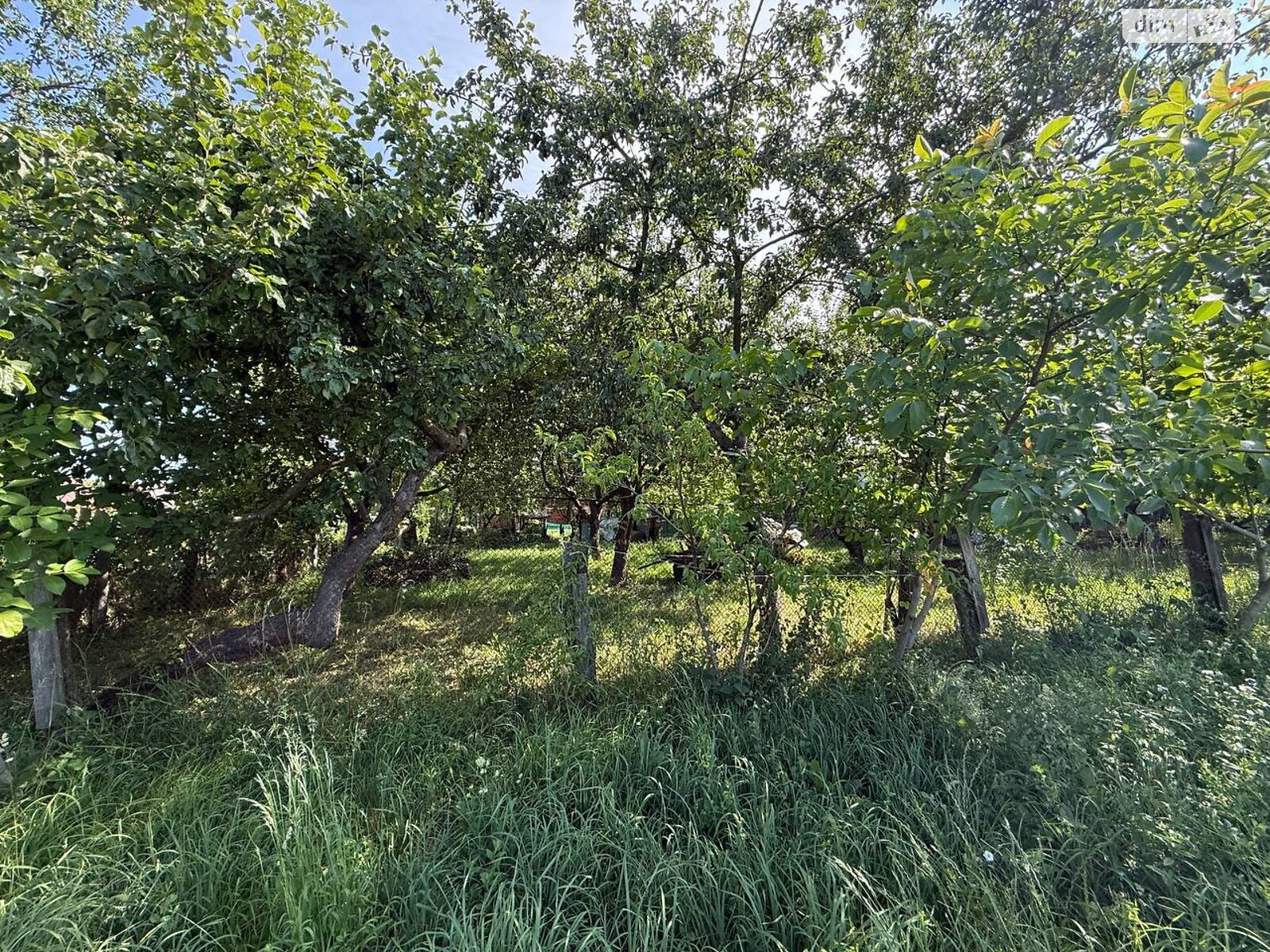 одноповерховий будинок з верандою, 80 кв. м, цегла. Продаж у Пеньківці фото 1 одноповерховий будинок з верандою, 80 кв. м, цегла. Продаж у Пеньківці фото 1
