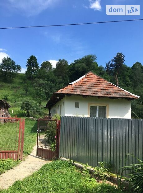 одноэтажный дом, 60 кв. м, кирпич саманный. Продажа в Заречове (Закарпатская обл.) фото 1 одноэтажный дом, 60 кв. м, кирпич саманный. Продажа в Заречове (Закарпатская обл.) фото 1