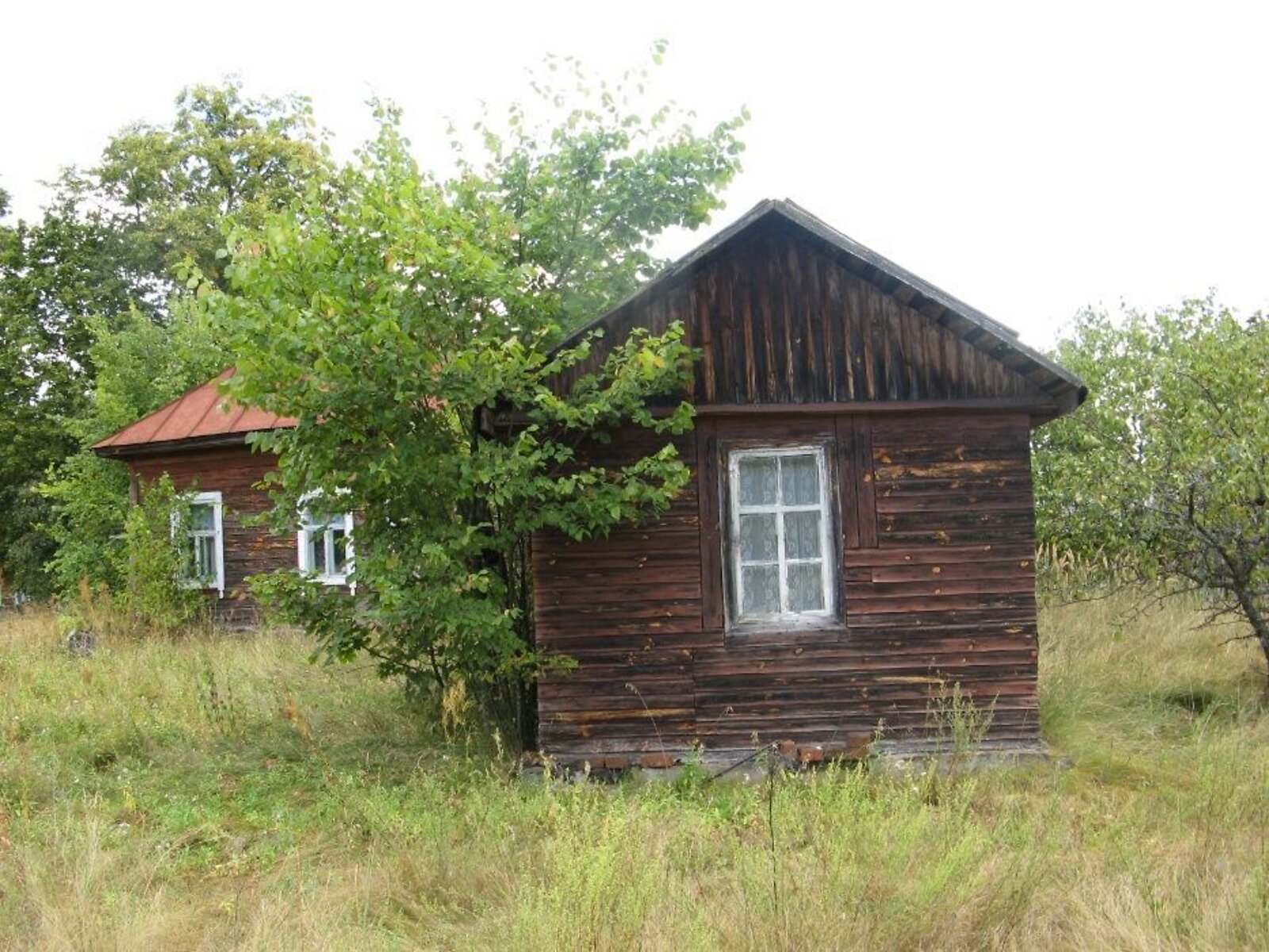 одноэтажный дом, 55 кв. м, сруб. Продажа в Переделе фото 1 одноэтажный дом, 55 кв. м, сруб. Продажа в Переделе фото 1