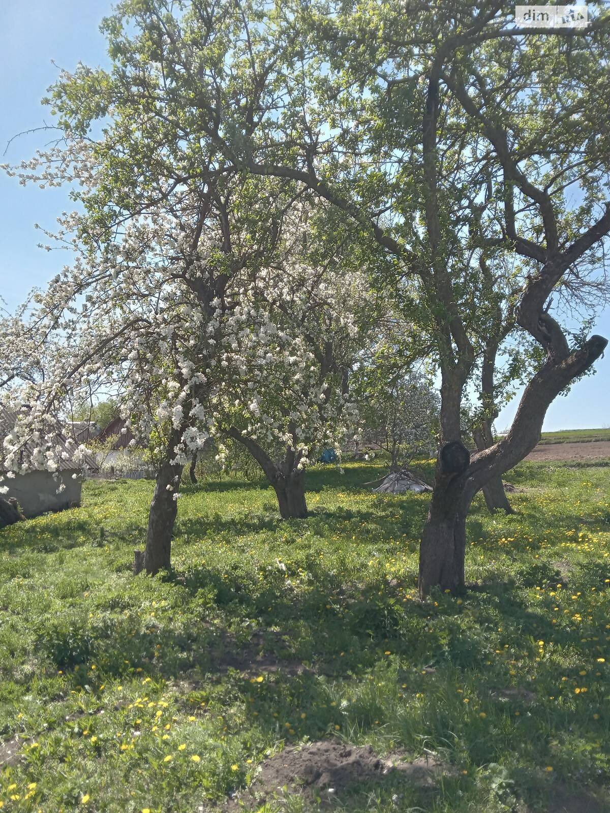 одноэтажный дом, 44.2 кв. м, бутовый камень. Продажа в Передмирке фото 1 одноэтажный дом, 44.2 кв. м, бутовый камень. Продажа в Передмирке фото 1